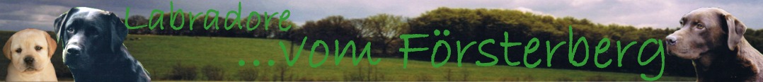 Banner F�rsterberg