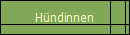 H�ndinnen