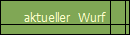 aktueller  Wurf